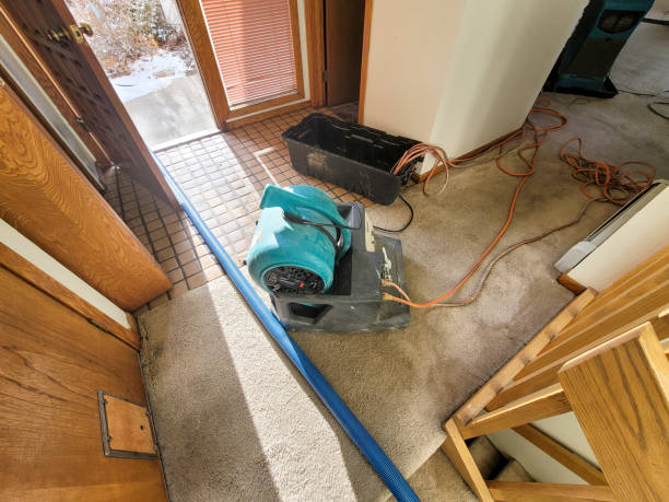 Best Commercial water damage restoration  in Kapaau, HI