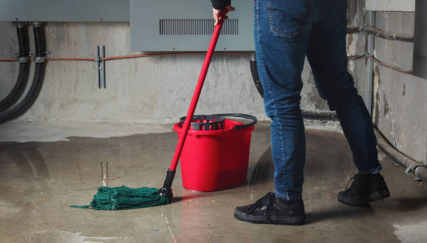 Best Water damage contractors near me  in Kapaau, HI