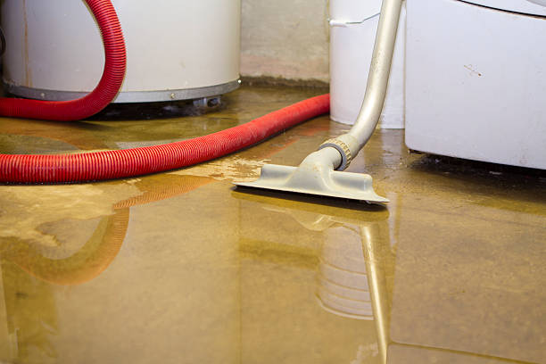 Best Water damage restoration near me  in Kapaau, HI