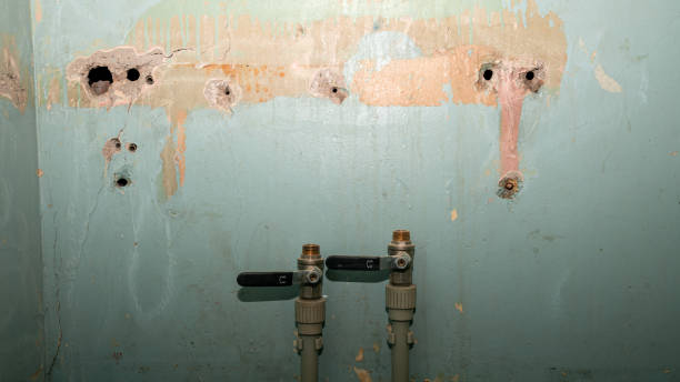 Best Ceiling water damage repair  in Kapaau, HI