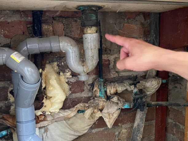 Best Residential water damage restoration  in Kapaau, HI